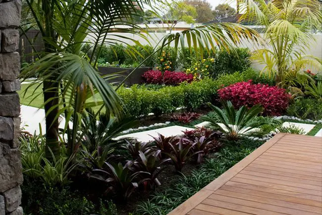 Subtropical backyard garden