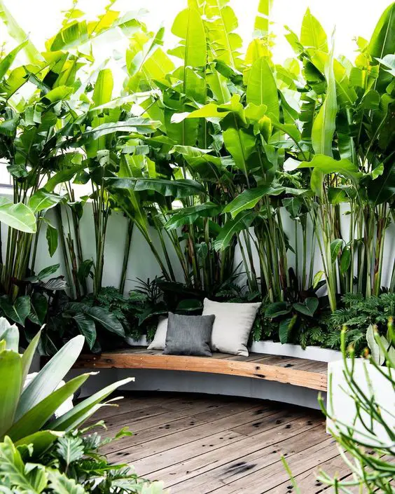 Tropical outdoor living