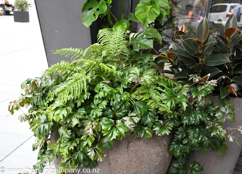 Urban Planter With Indoor Plants