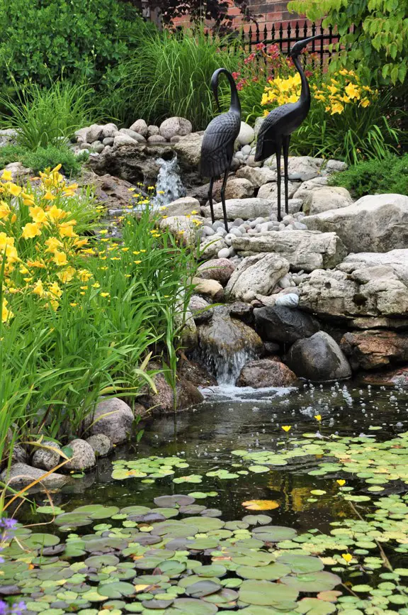 Water feature with day lilies