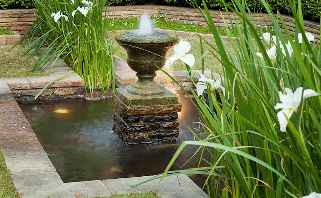 Water fountain with an Iris