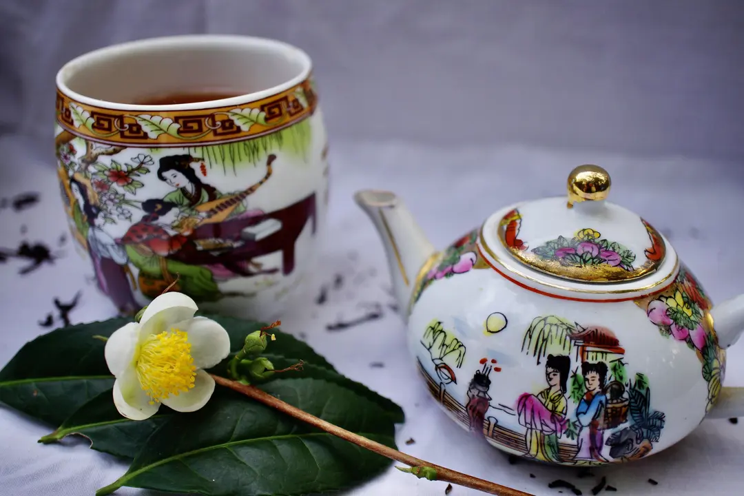 Camelia sinensis flowers and foliage beside a tea pot.