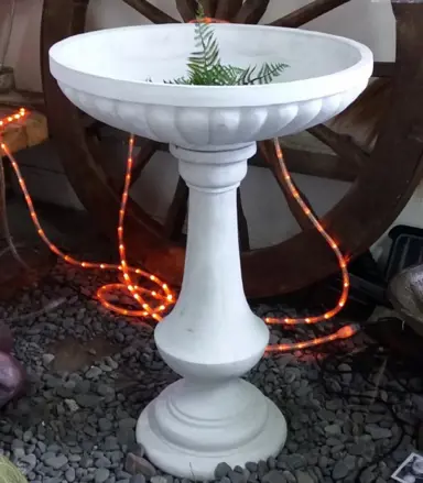 3_Bird_bath
