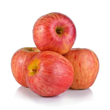 apple-royal-gala-dwarf--1