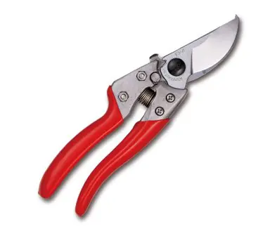 secateurs-1