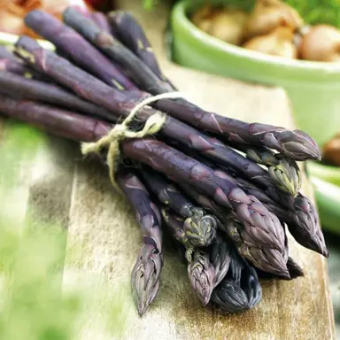 asparagus-purple-passion-2