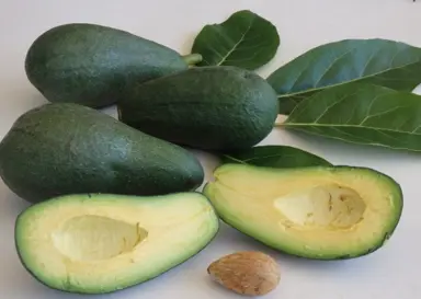 avocado-fuerte-1