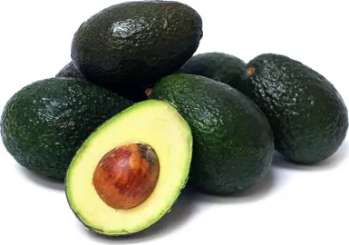 avocado-hass-