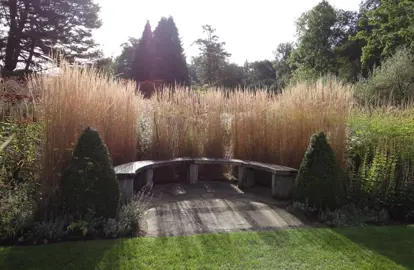 Calamagrostis 'Karl Foerster' grasses as a backdrop to a seated area.