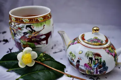 Camelia sinensis flowers and foliage beside a tea pot.