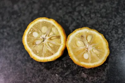 Citrus junos (Yuzu Citrus) fruit cut in half.