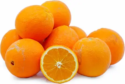 orange-washington-navel-2