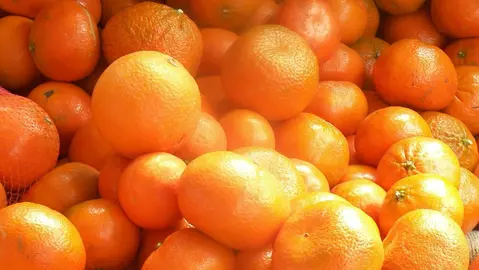 mandarin-satsuma-1