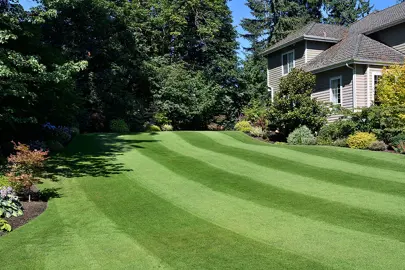 An immaculate Fine Fescue lawn in a modern and formal garden.