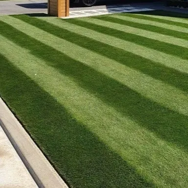 An immaculate Fine Fescue lawn in a modern and formal garden.