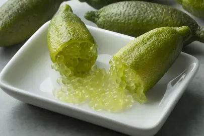 citrus-australasica-finger-lime--2