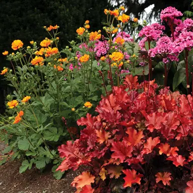 geum-fire-storm-3