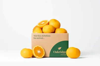 Grapefruit 'Morrison's Seedless' fruit.