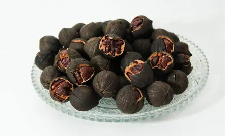 juglans-nigra-8