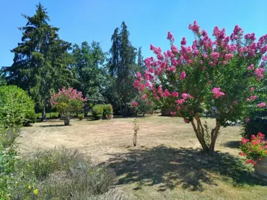 lagerstroemia-bergerac-1