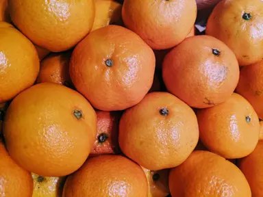 'Encore' Mandarin fruit.