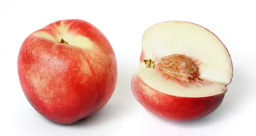 nectarine-goldmine-4