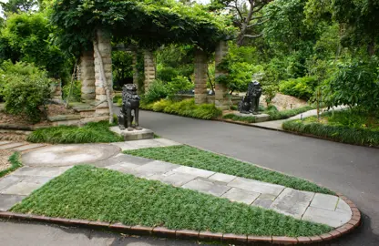 Ophiopogon japonicus nana (dwarf Mondo grass) as a mass planting at a garden entrance.