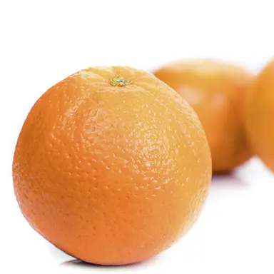 Orange Navelate fruit.