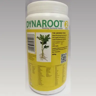 plant-rooting-hormone-