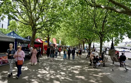 A market beneath Platanus acerifolia (London Plane trees).