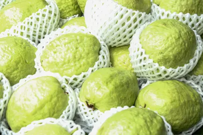 Psidium guajava (Yellow Guava) fruit in a market.