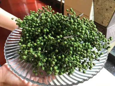 green-peppercorn-