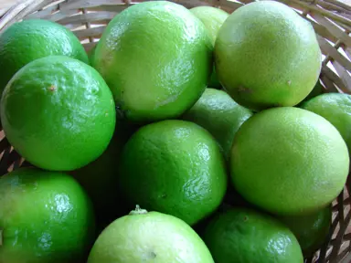 'Tahitian' Lime fruit.