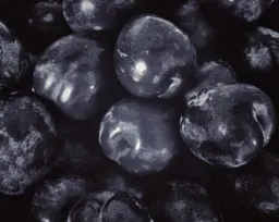 Plum Black Doris