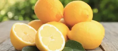 Lemon 'Meyer'