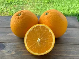 Orange Barnfield (Barnfield Orange)