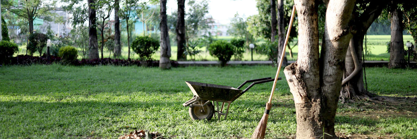 Wheelbarrow and trees.