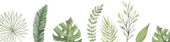 Illustration of plant leaves.